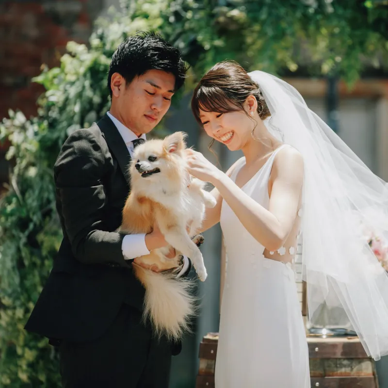 AKARENGA WEDDINGのフェア例